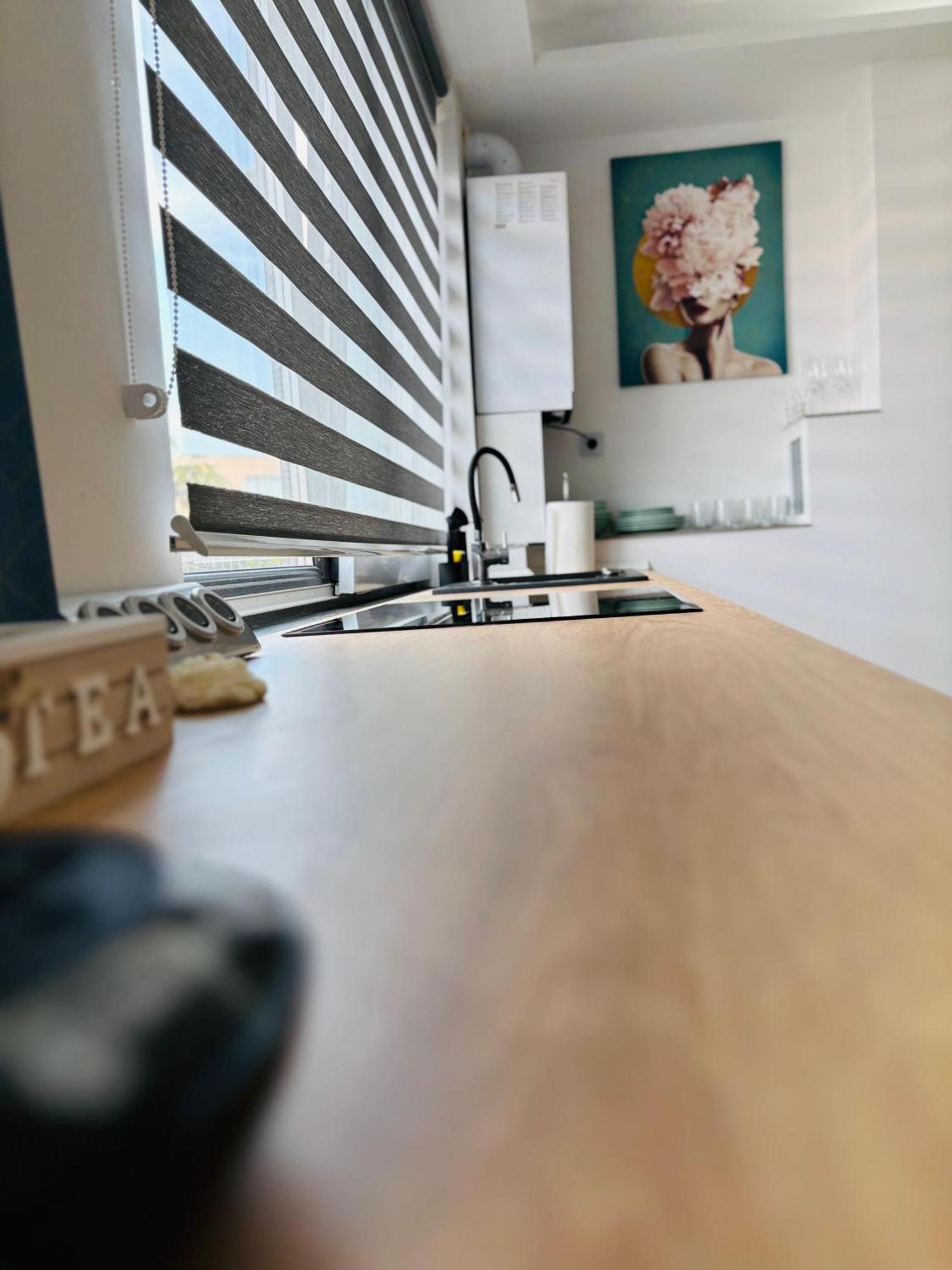 Amos Apartment-Ultracentral-Free Parking Cluj-Napoca Eksteriør billede