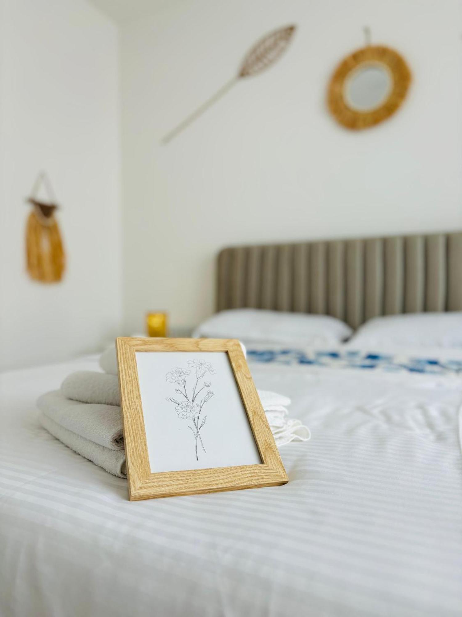 Amos Apartment-Ultracentral-Free Parking Cluj-Napoca Eksteriør billede