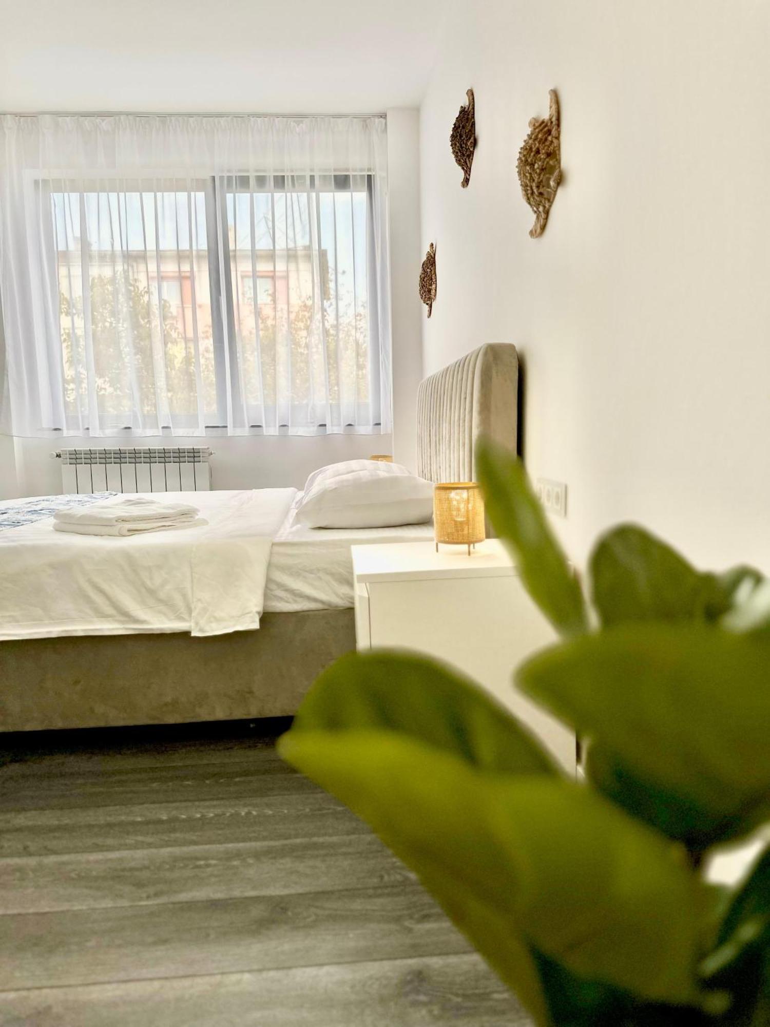 Amos Apartment-Ultracentral-Free Parking Cluj-Napoca Eksteriør billede