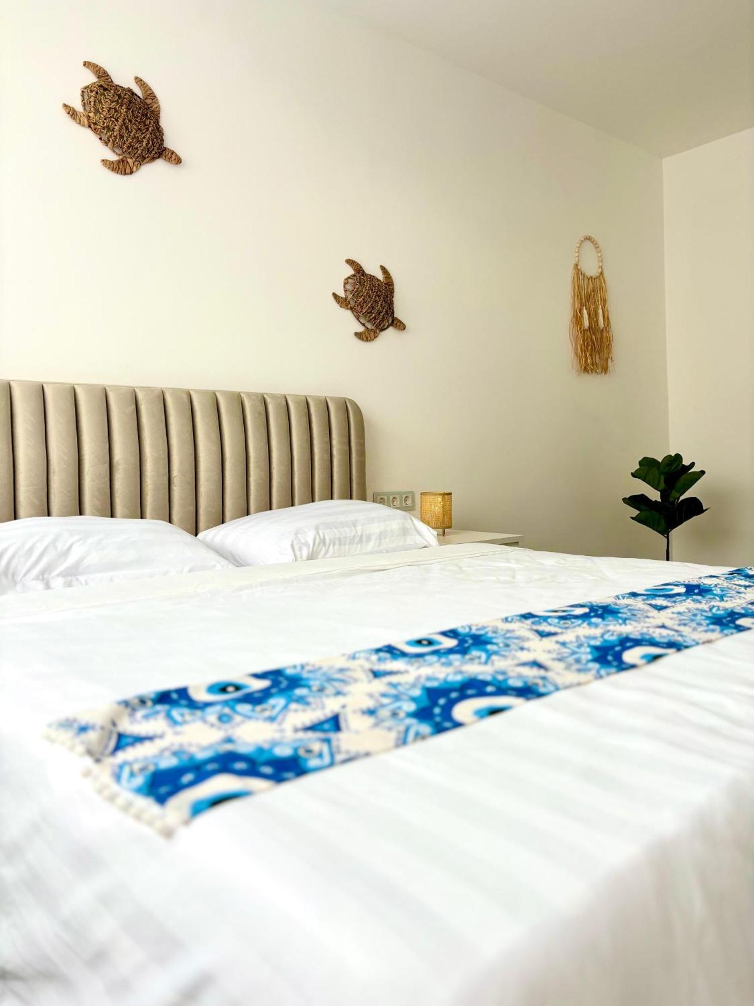 Amos Apartment-Ultracentral-Free Parking Cluj-Napoca Eksteriør billede