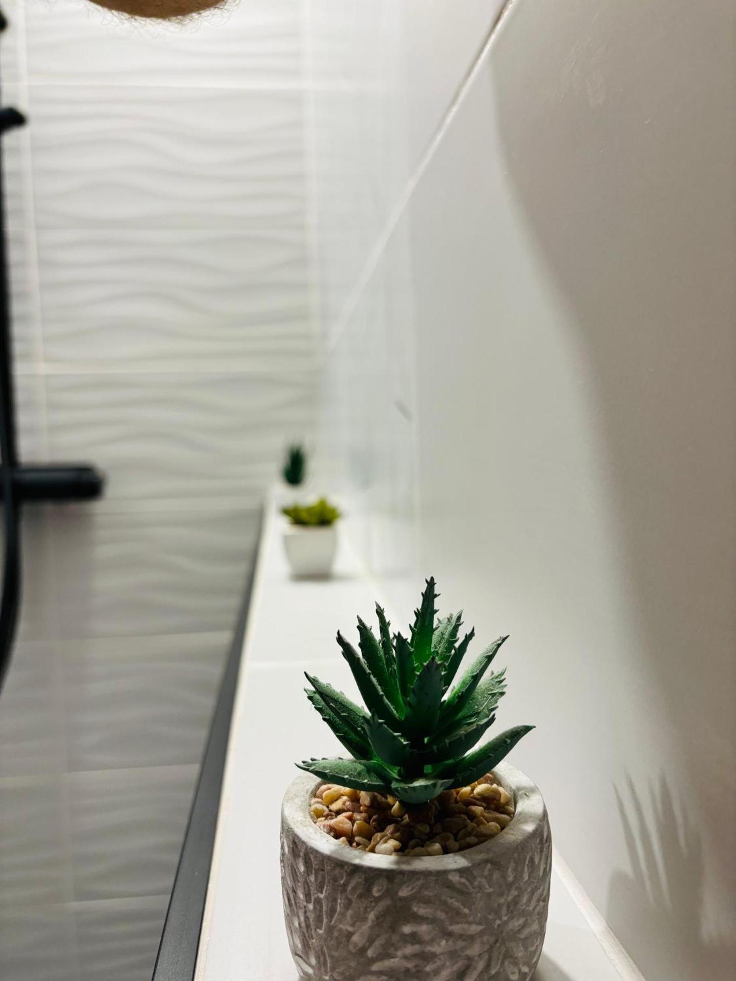 Amos Apartment-Ultracentral-Free Parking Cluj-Napoca Eksteriør billede