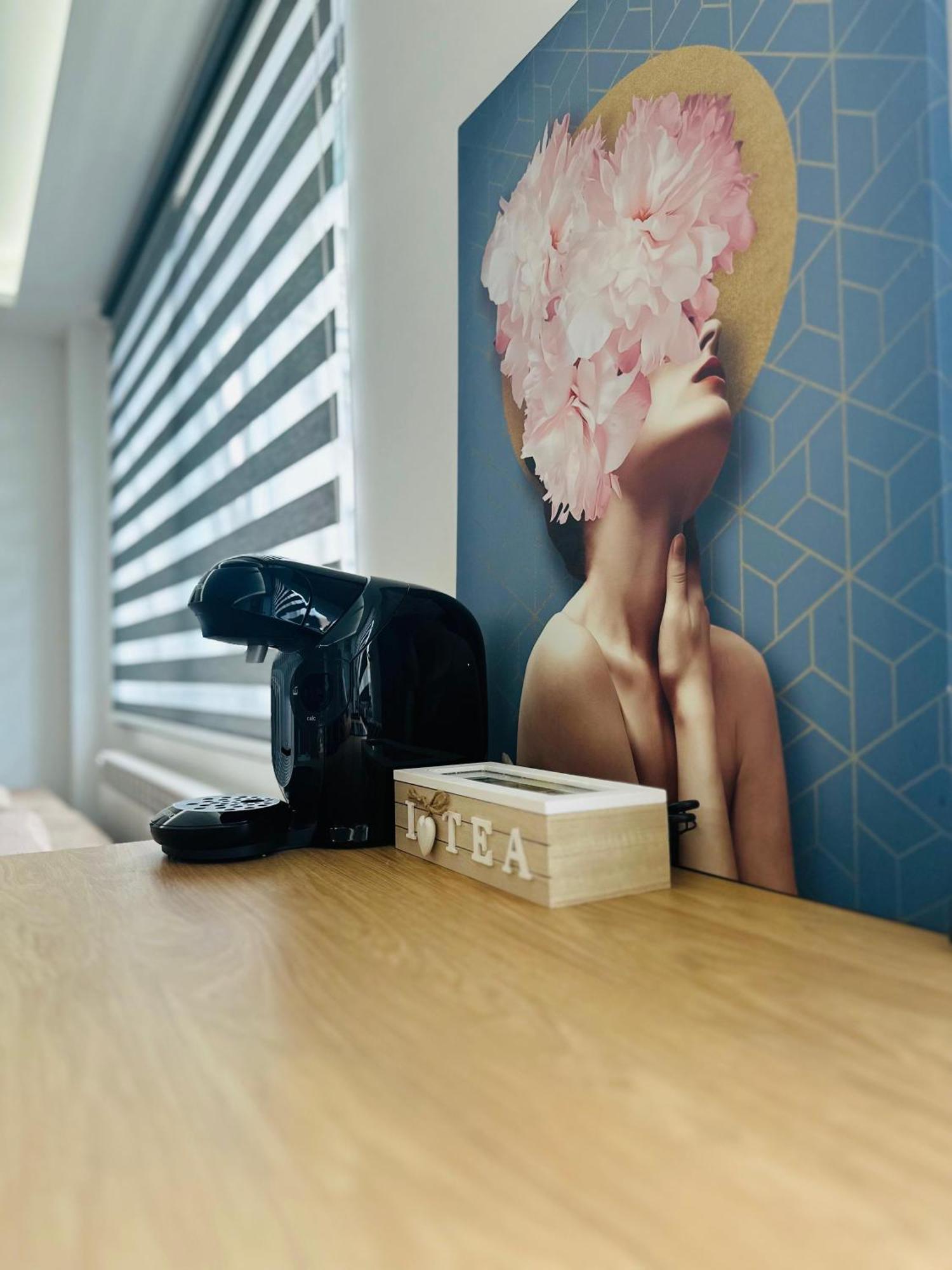Amos Apartment-Ultracentral-Free Parking Cluj-Napoca Eksteriør billede